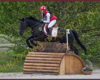 2COMPLET361
