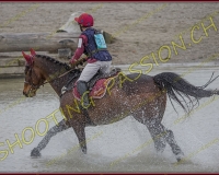 4COMPLET039