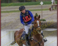 4COMPLET539