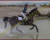 6COMPLET409
