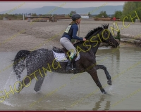 6COMPLET410