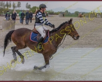 6COMPLET436