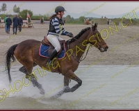 6COMPLET437