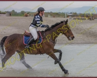 6COMPLET439