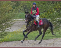 6COMPLET497