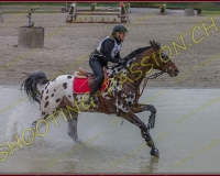 6COMPLET542