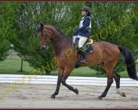 1COMPLET133