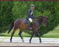 1COMPLET151