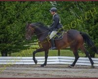 1COMPLET155