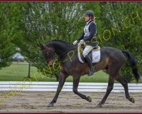 1COMPLET206