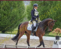 1COMPLET288