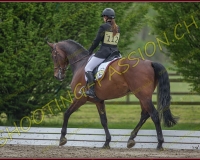 1COMPLET297