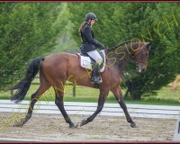 1COMPLET302