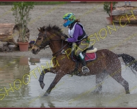 2COMPLET028