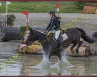 2COMPLET082