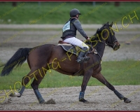 2COMPLET281