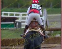 2COMPLET382