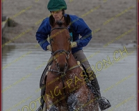2COMPLET584