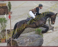 3COMPLET010