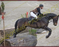 3COMPLET011