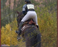 3COMPLET197