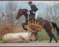 3COMPLET268