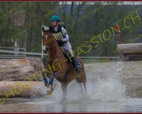 3COMPLET335