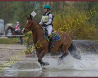 3COMPLET338