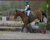 3COMPLET345