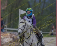 3COMPLET428