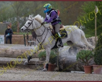 3COMPLET441
