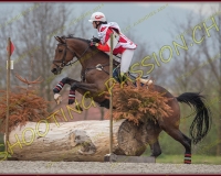 3COMPLET509