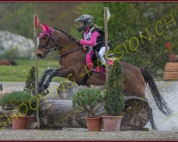 3COMPLET529
