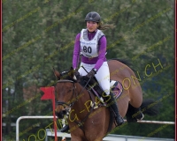 3COMPLET631