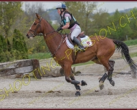 4COMPLET206
