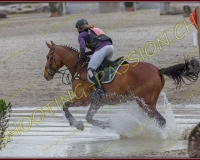 4COMPLET309