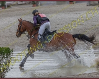 4COMPLET310