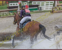 4COMPLET313