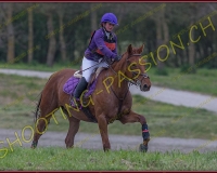 4COMPLET498