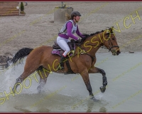 6COMPLET281