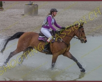 6COMPLET282