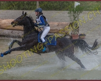 6COMPLET317