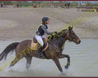 6COMPLET381