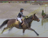6COMPLET382