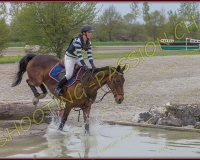 6COMPLET431