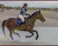6COMPLET438