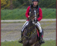 6COMPLET501