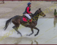 6COMPLET509