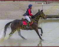 6COMPLET511