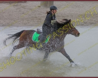 6COMPLET564
